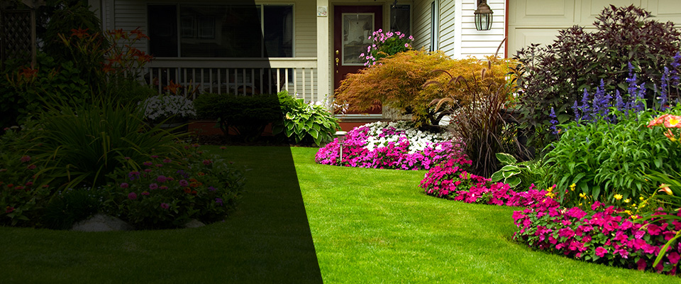 Bryan Landscapers