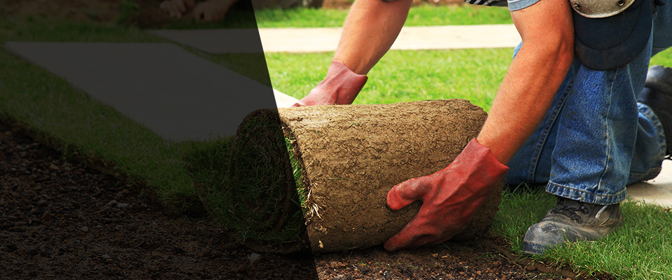 Bryan Landscapers